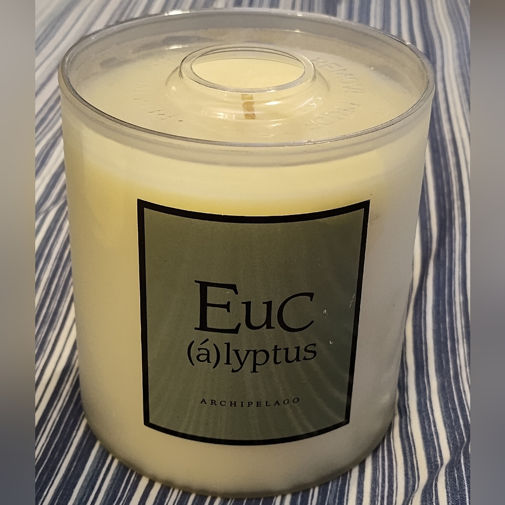 NEW!!! EUCALYPTUS Scented 14oz Candle